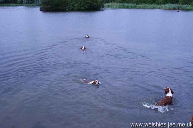 2009-07-19 23a05.jpg